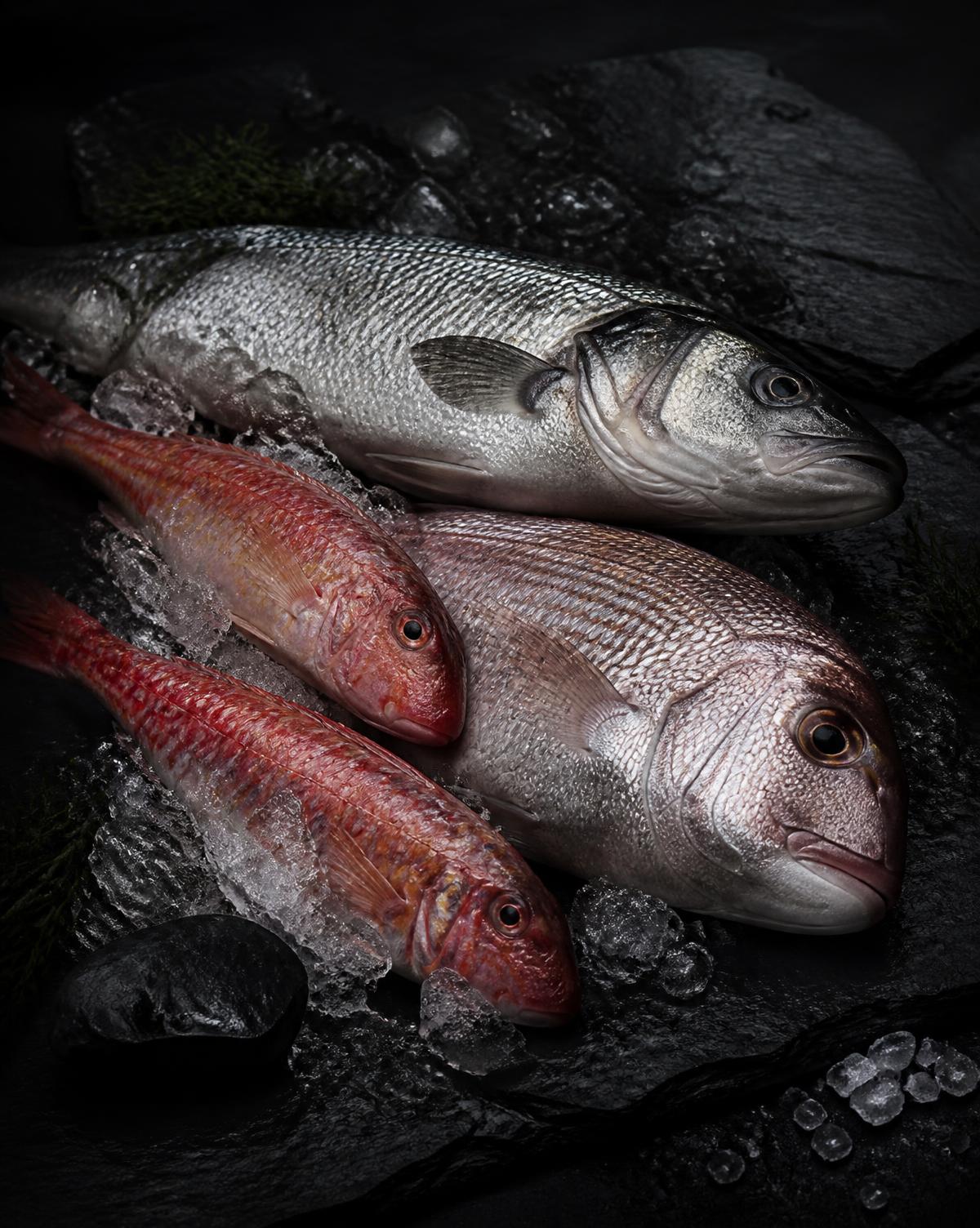 Selección de pescados y mariscos frescos de lonja sobre hielo